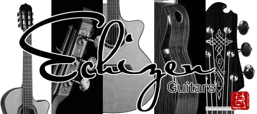 Blue-G] Fine Acoustic Guitar Shop | ブルージー