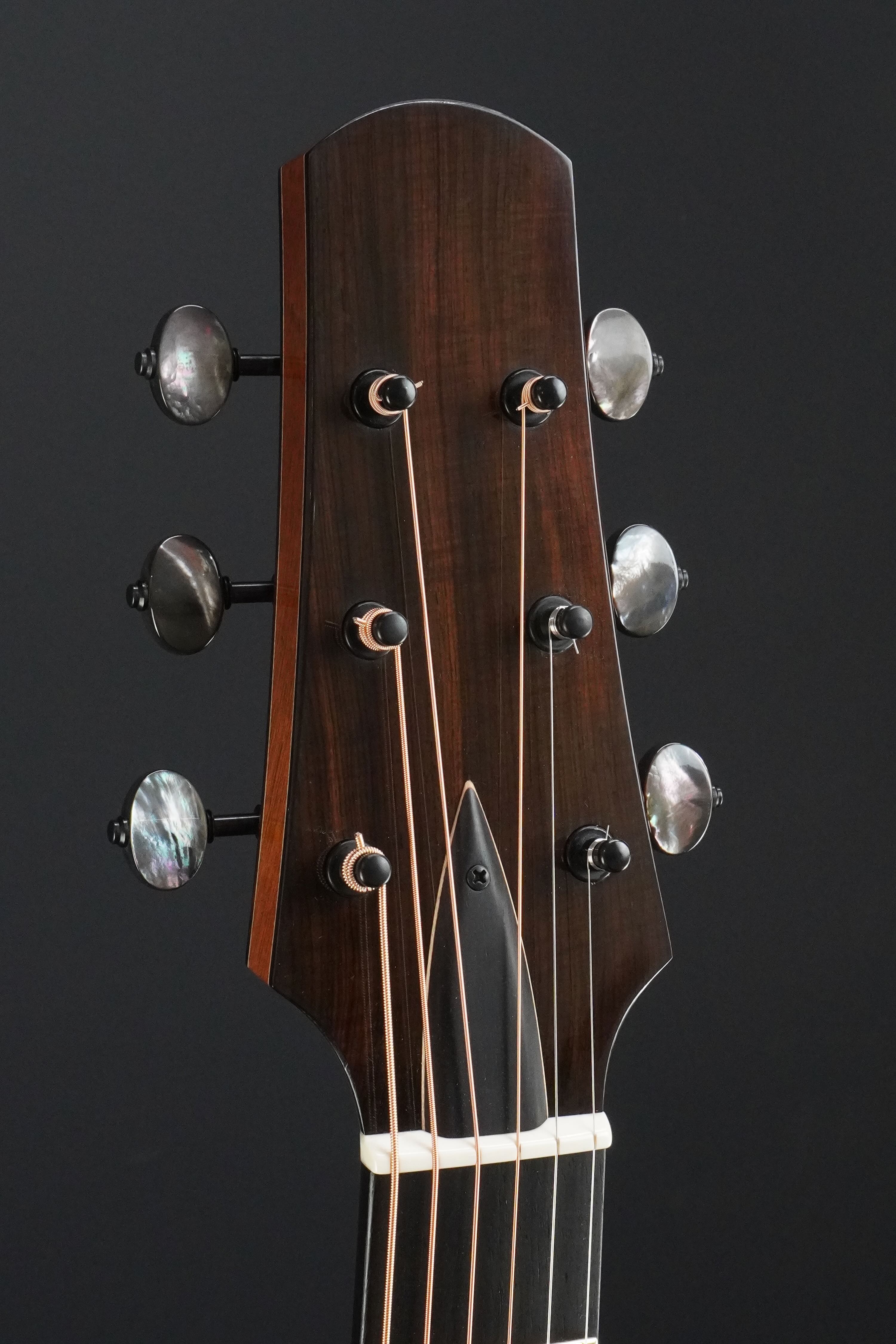 Echizen Guitars R-1 | 楽器詳細ページ [Blue-G]