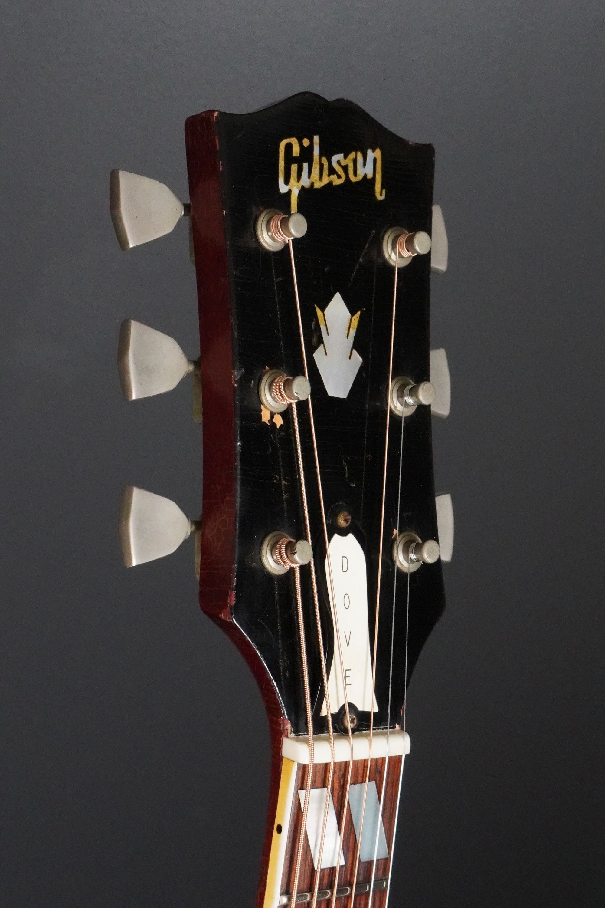 c*z様 オービルbyギブソン　DOVE Gibson DOVE | 楽器詳細ページ [Blue-G]