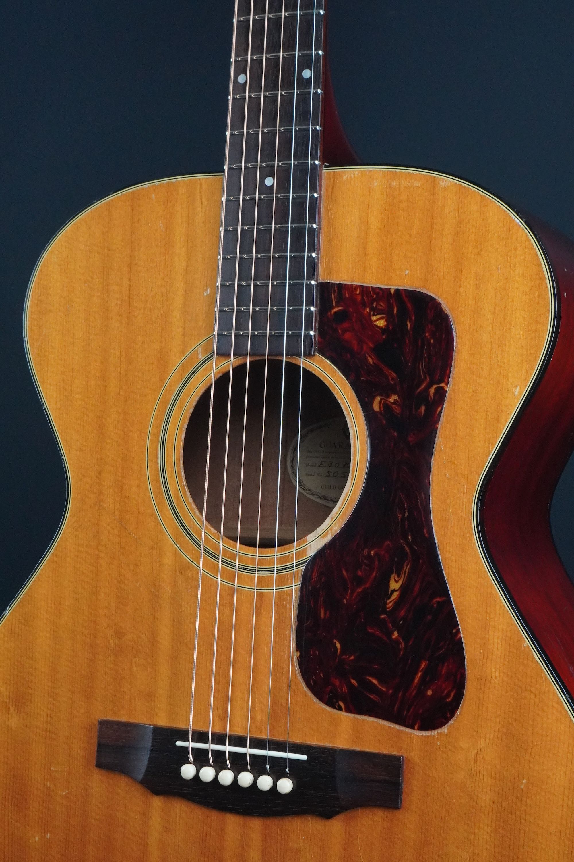 Guild F-30 | 楽器詳細ページ [Blue-G]