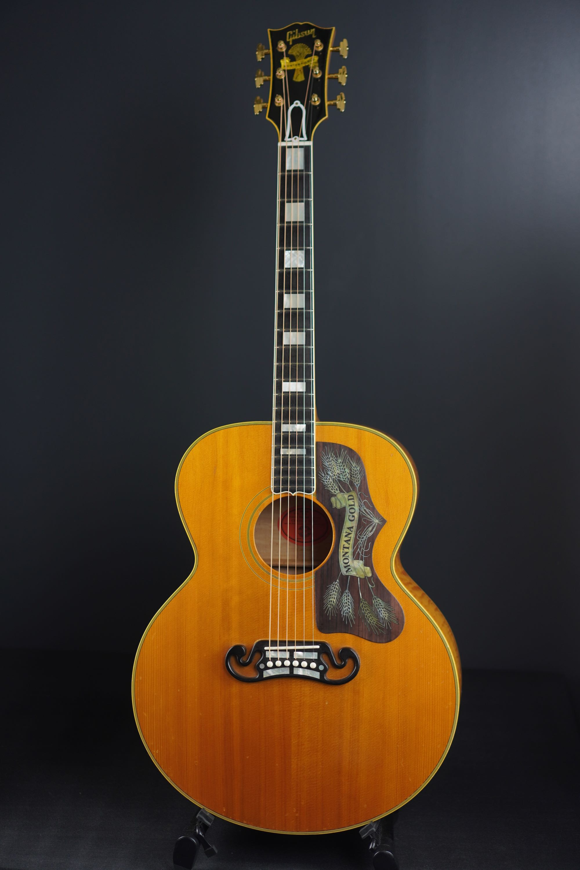 Gibson MONTANA GOLD | 楽器詳細ページ [Blue-G]